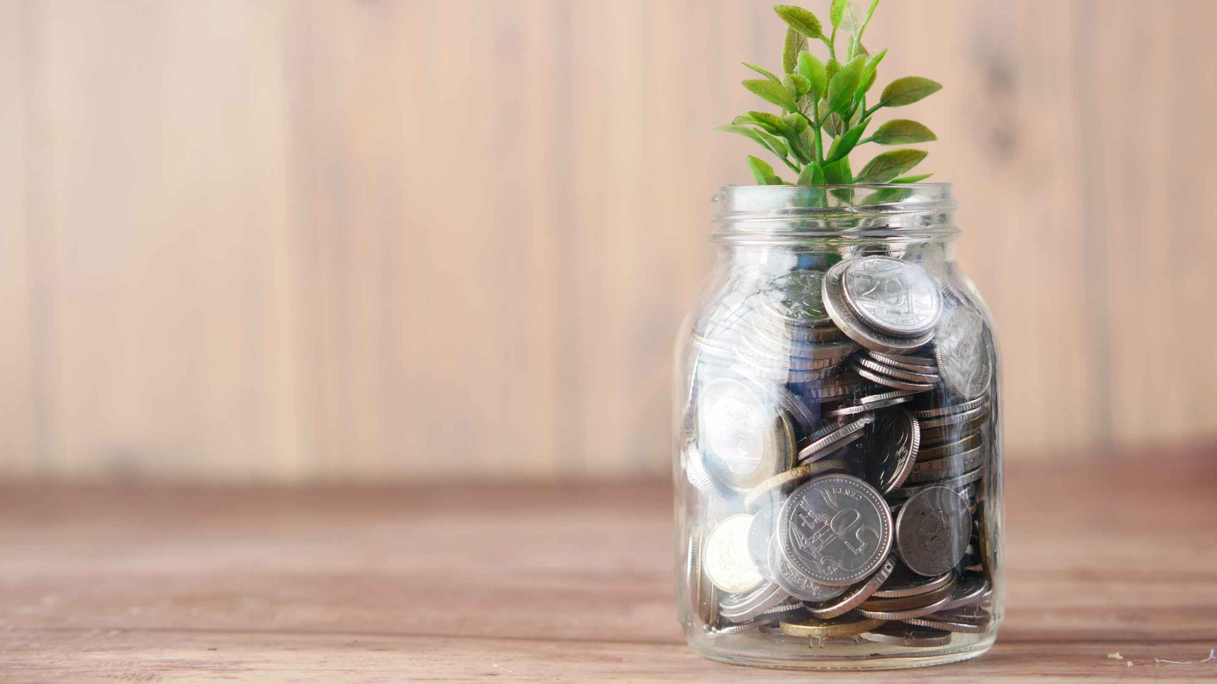 A glass jar full of coins with a small green plant sticking out the top